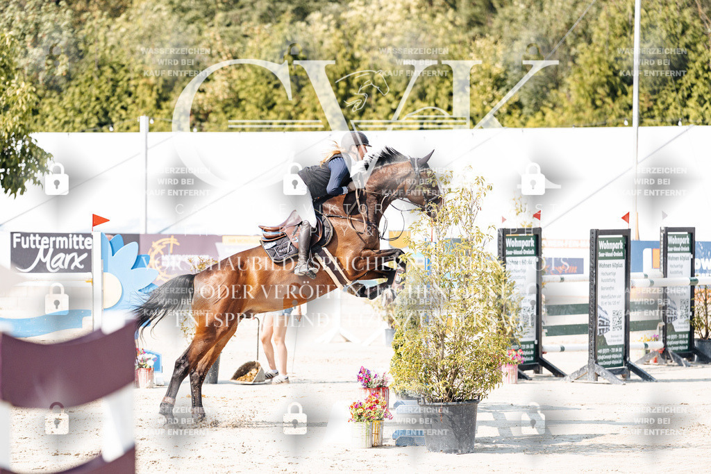 CK902217 | Turnierfotografie Pferdefotografie Trier Rheinland-Pfalz Pferdesport Reitsport Tierfotografie Sportfotografie Pferdevideo Pferdevideografie Equestrianvideography equestrianphotography  - Realisiert mit Pictrs.com