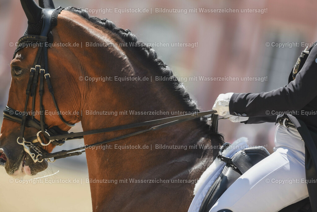 20230527_01_GP-Kür-Tour_0178 | equistock