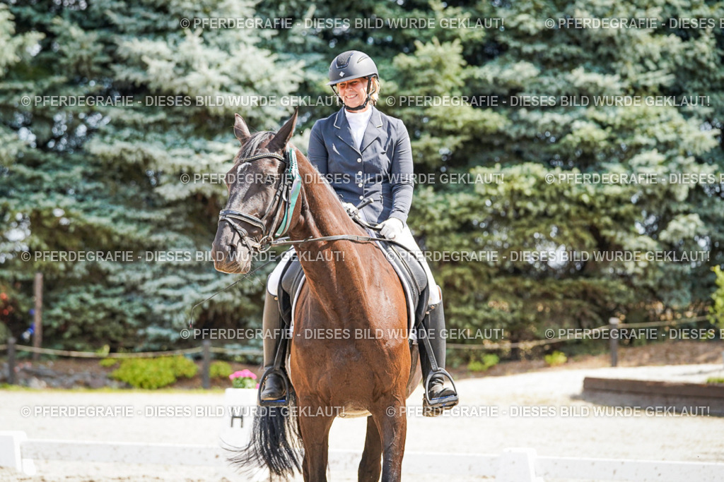 DSC02309 | Pferdegrafie