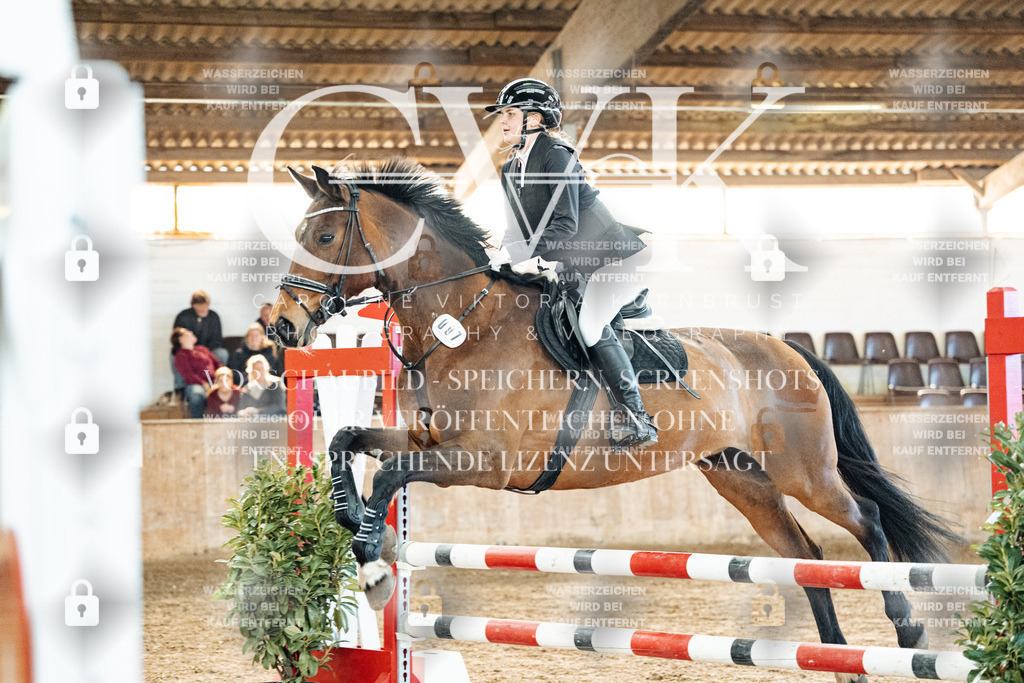 CK904789 | Turnierfotografie Pferdefotografie Trier Rheinland-Pfalz Pferdesport Reitsport Tierfotografie Sportfotografie Pferdevideo Pferdevideografie Equestrianvideography equestrianphotography  - Realized with Pictrs.com