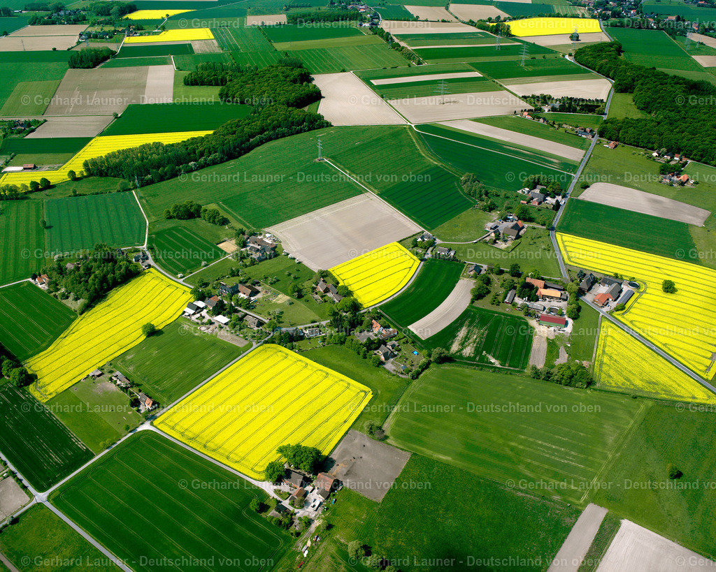 2620822 | Heintrop-Büninghausen, Lippetal