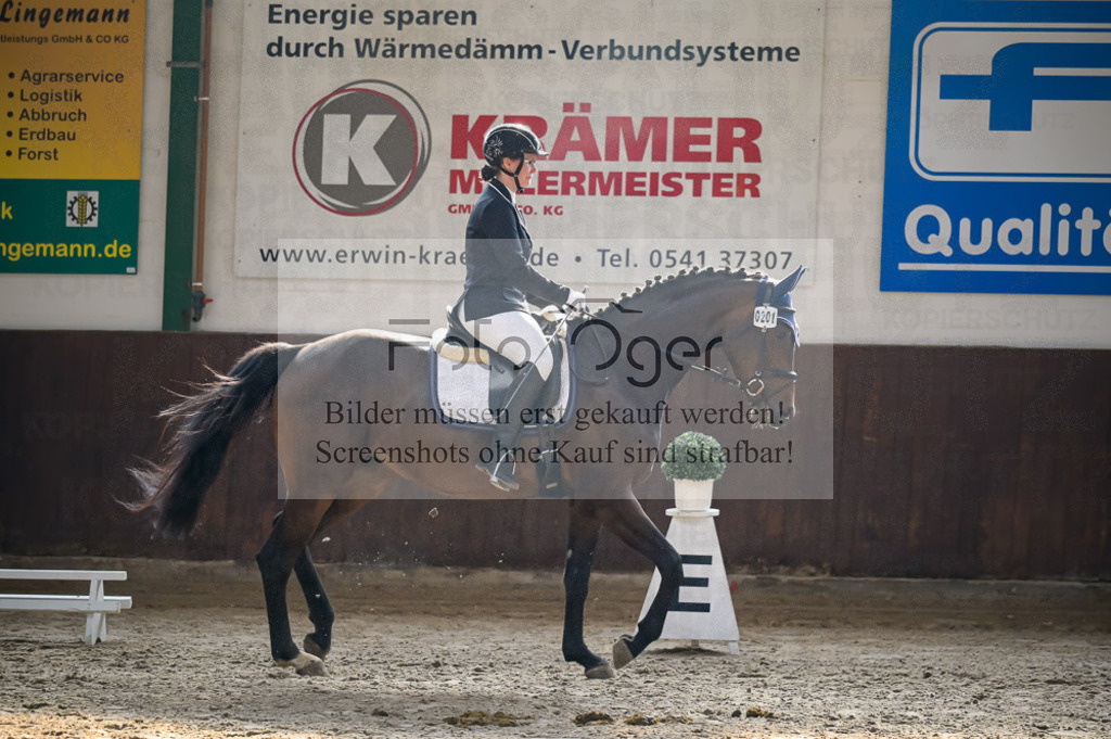 Reitturnier Voxtrup | Entdecke hochwertige Reitturnierfotos von Foto Oger. Professionell, emotional und authentisch – jetzt Lieblingsmomente im Shop bestellen.Deutschlandweite Turnierfotografie. - Realisiert mit Pictrs.com