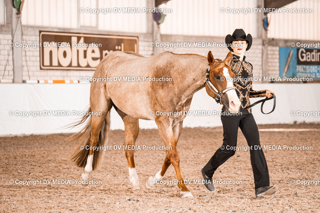 ZH200266 | dv-media-shop - Realisiert mit Pictrs.com