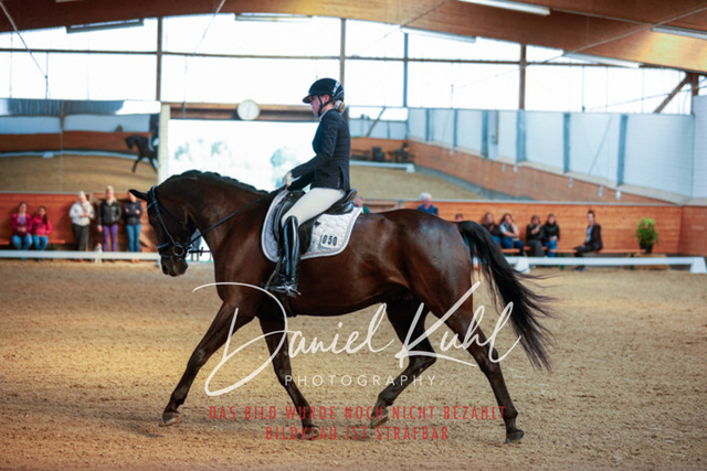 _62_4509 | Turniersportfotografie; Pferdefotografie; Dressurfotografie