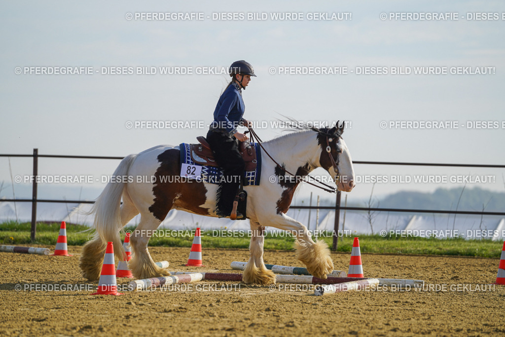 DSC00901 | Pferdegrafie