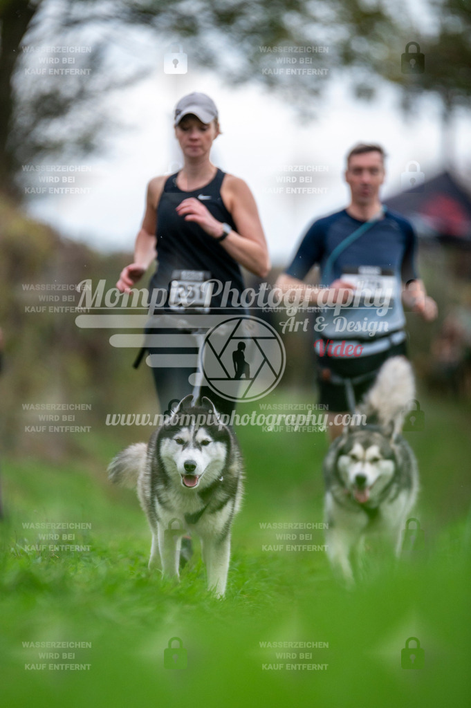 TSB_2023_E8_Canicross-20 | PayLife