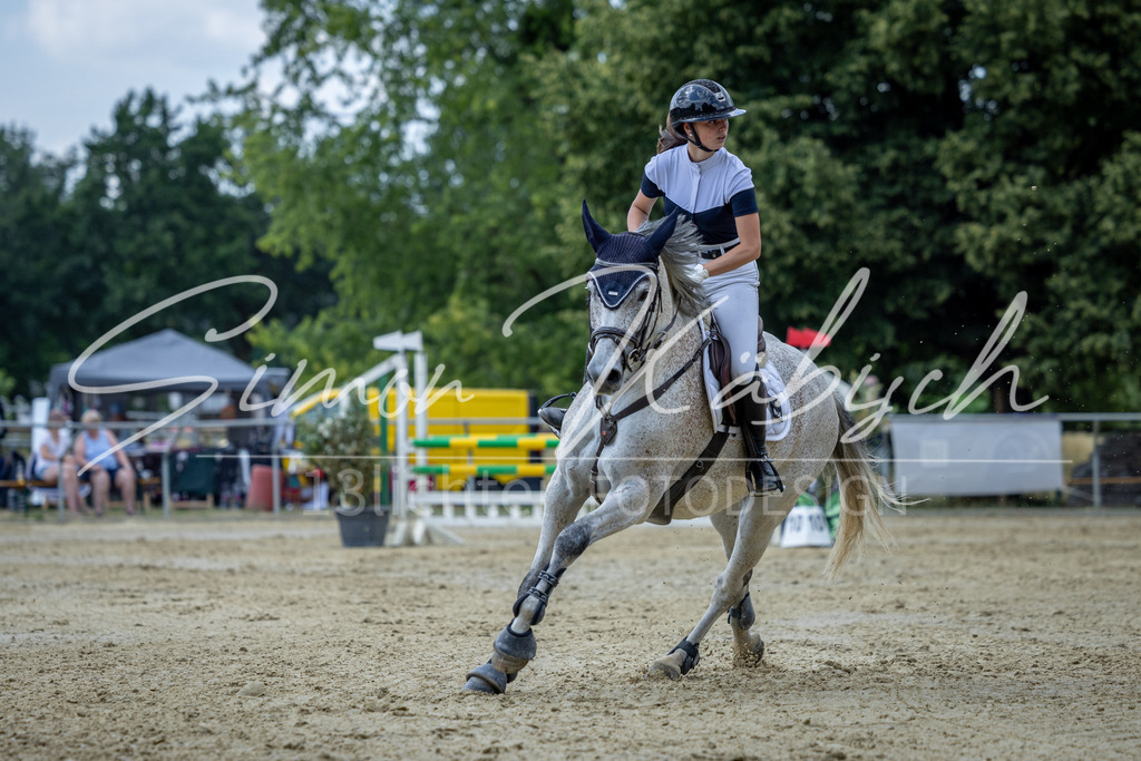 20260704-_3LI1499 | Tierfotografie Pferde, Hunde, Katzen, Haustiere.
Turnierfotografie Reitturniere, Reiten, Springreiten, Dressur in Hanau, dem Main-Kinzig-Kreis und dem Rhein-Main- Gebiet um Frankfurt