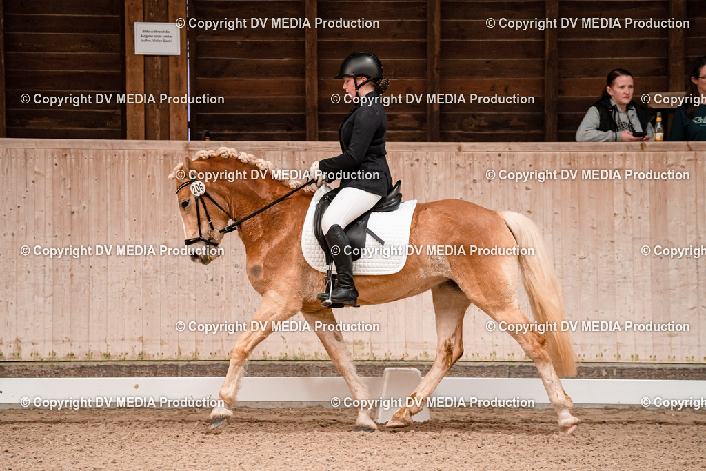 Dressur Tag 2-607 | dv-media-shop - Realisiert mit Pictrs.com