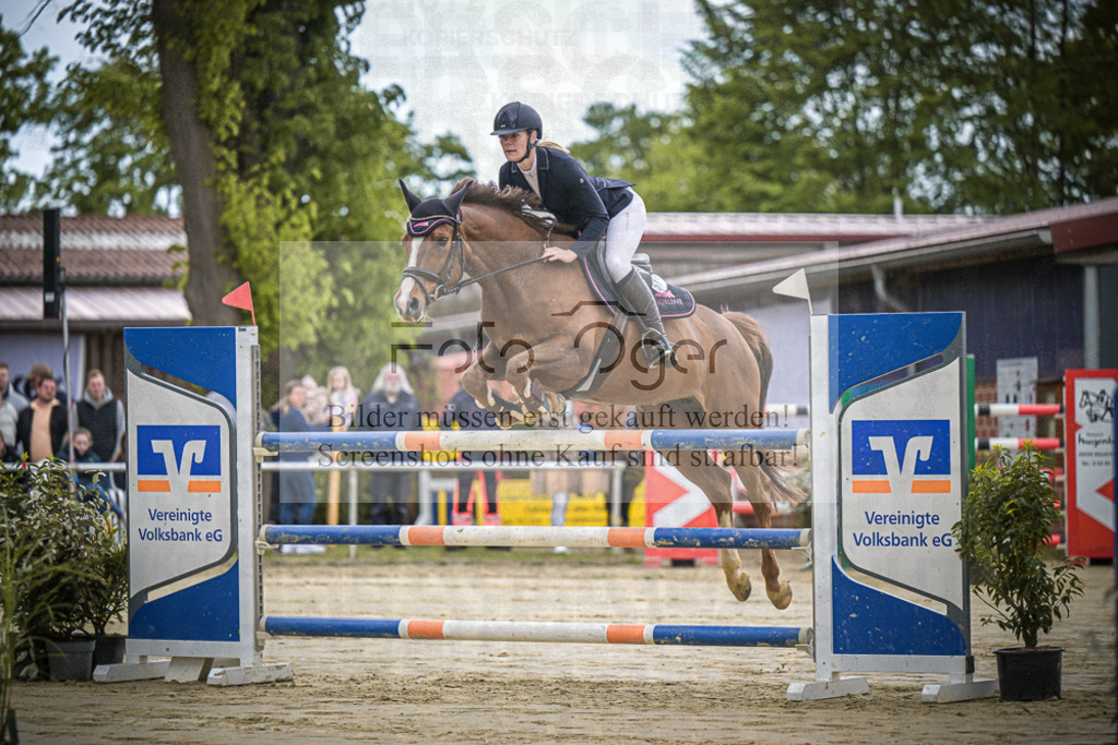 DOS_2161 | Entdecke hochwertige Reitturnierfotos von Foto Oger. Professionell, emotional und authentisch – jetzt Lieblingsmomente im Shop bestellen.Deutschlandweite Turnierfotografie. - Realisiert mit Pictrs.com