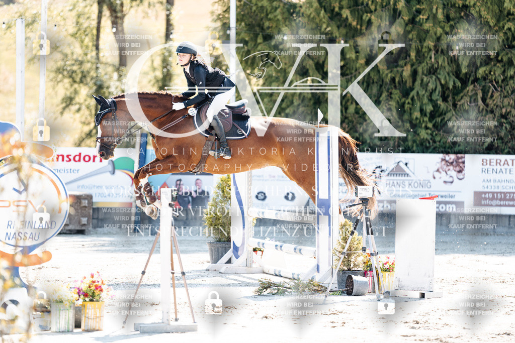 CK905224 | Turnierfotografie Pferdefotografie Trier Rheinland-Pfalz Pferdesport Reitsport Tierfotografie Sportfotografie Pferdevideo Pferdevideografie Equestrianvideography equestrianphotography  - Realisiert mit Pictrs.com