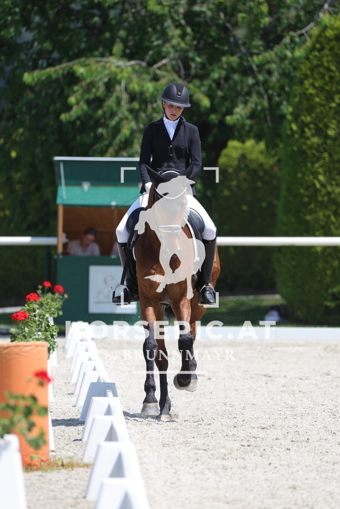 0P6A5833 | Willkommen bei Brunnmayr - Design & Fotografie – Ihrem Spezialisten für Reitturniere und Pferdeveranstaltungen in Oberösterreich, Salzburg und Bayern! Seit über 17 Jahren sind wir leidenschaftlich dabei.