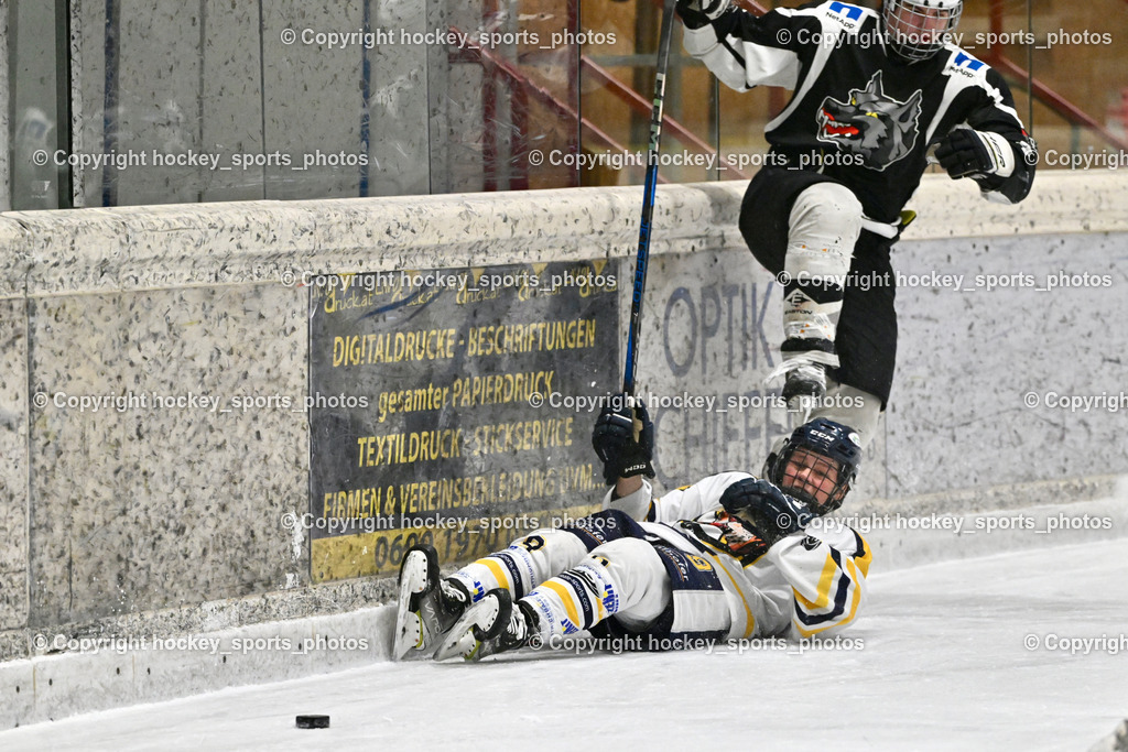 EC Tigers Paternion vs. Tarco Wölfe II | #9 Gratzer Julian EC Tigers Paternion, #4 Halbrainer Paul Tarco Wölfe II, EC Tigers Paternion vs. Tarco Wölfe II, EC Tigers Paternion vs. Tarco Wölfe II am 19.12.2024 in Spittal an der Drau (Eissportzentrum Spittal), Austria, (Photo by Bernd Stefan)