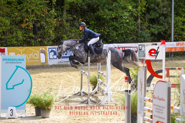 DKP40441 | Turniersportfotografie; Pferdefotografie; Dressurfotografie