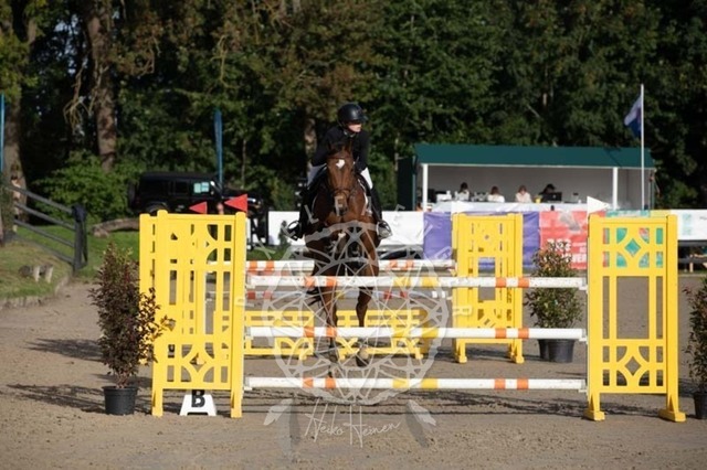 2B4A1006 | pixelfaenger - Realisiert mit Pictrs.com