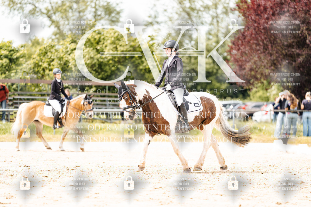 CK902188 | Turnierfotografie Pferdefotografie Trier Rheinland-Pfalz Pferdesport Reitsport Tierfotografie Sportfotografie Pferdevideo Pferdevideografie Equestrianvideography equestrianphotography  - Realisiert mit Pictrs.com