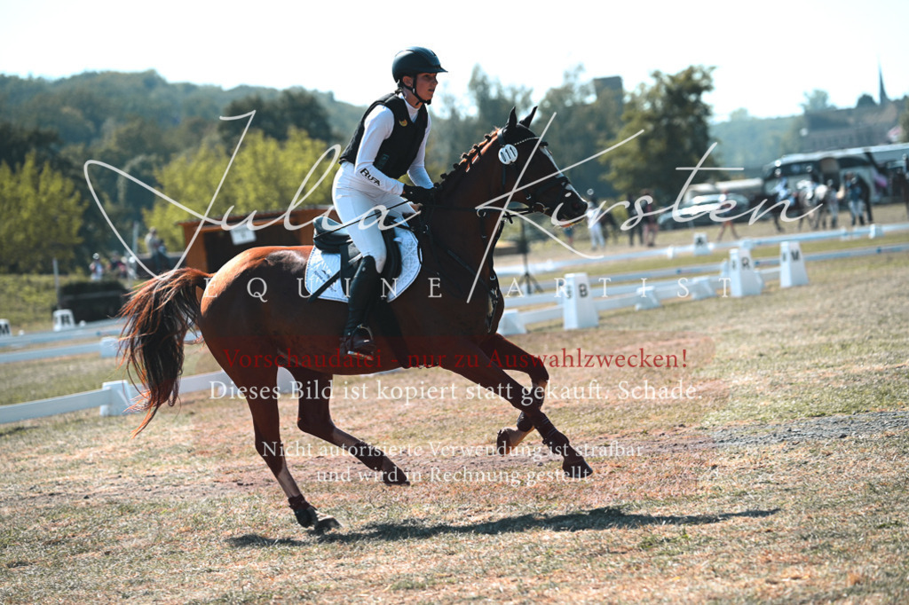 DSC_8181 | Pferde- und Turnierfotografie in Westsachsen. Pferdeportraits, Auftragszeichnungen und intuitive Kunst.