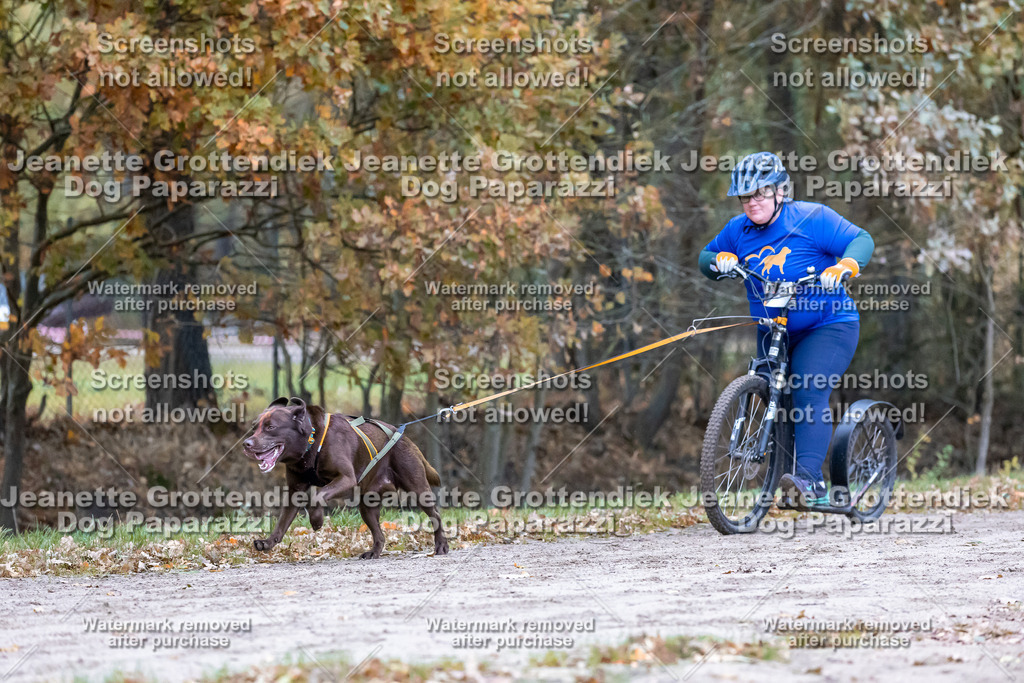 Dog Paparazzi - SD CaniX Championship 2025-190 | Dog Paparazzi Jeanette Grottendiek Fotografie & Videografie - Realisiert mit Pictrs.com