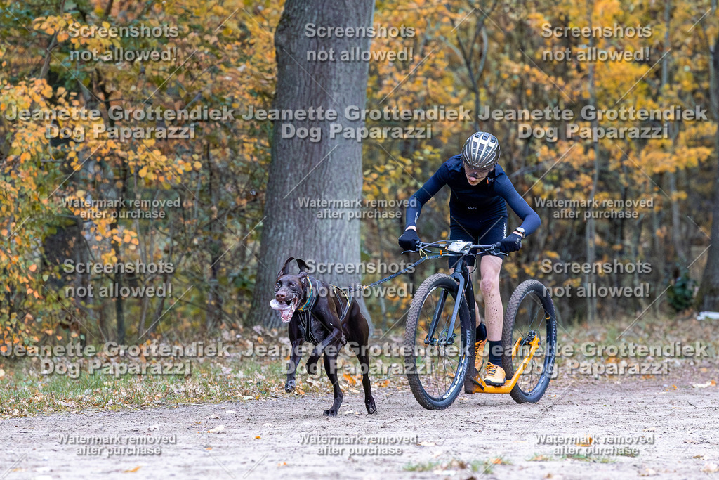 Dog Paparazzi - SD CaniX Championship 2025-170 | Dog Paparazzi Jeanette Grottendiek Fotografie & Videografie - Realisiert mit Pictrs.com