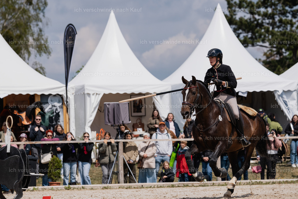 PI26_SP_StoibphotographyC2_C3535.CR3 | working equitationturnier fotograf videograf stoibphotography marixx film working equitation deutschland reitsport turnierfotografie eventfotografie equestrian events