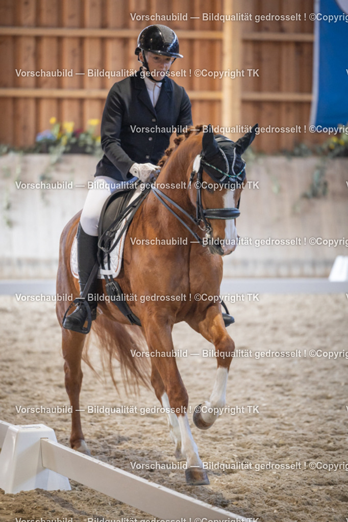 _D5A1885 | Emotionale Pferde- & People-Fotografie rund um Heidelberg, Leimen & Umgebung. Natürliche Fotos von Pferd, Mensch & Familie. Jetzt Termin sichern!