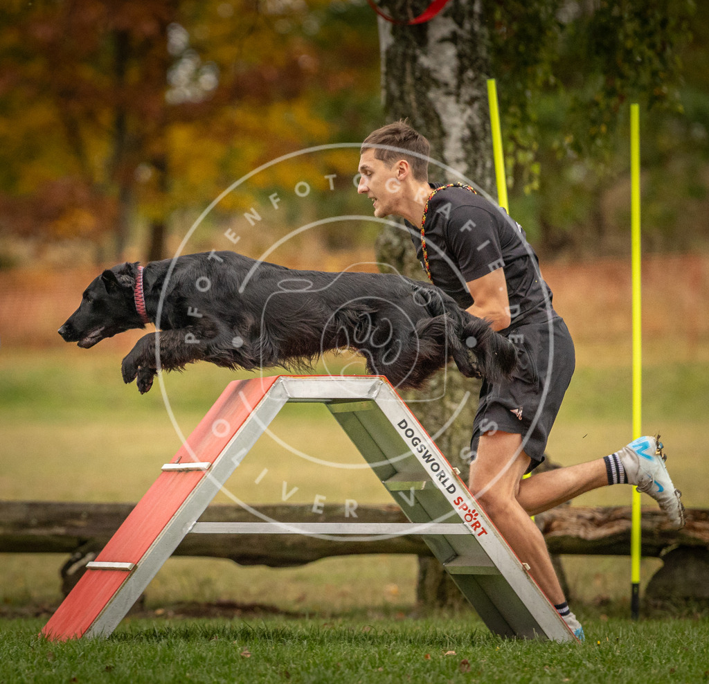 Pfotenfotografie_DV3A7662 | Hundefotografie, Tierfotograf, Pfotenfotografie, Fotoshooting Hund, Hunde Portrait, Hundesport, Hundeportraits, Heideshooting, Hunde, Sportfotograf, Hundefotograf, Turnierhundsport, THS,  - Realisiert mit Pictrs.com