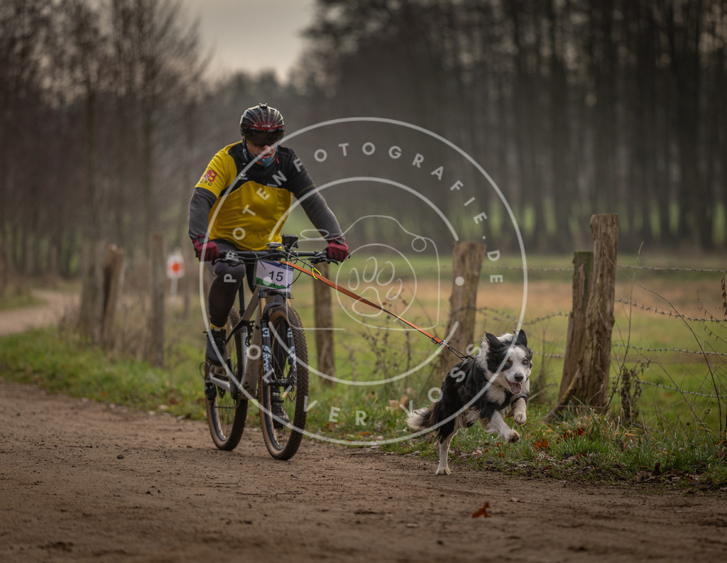 Pfotenfotografie_DV3A1843 | Hundefotografie, Tierfotograf, Pfotenfotografie, Fotoshooting Hund, Hunde Portrait, Hundesport, Hundeportraits, Heideshooting, Hunde, Sportfotograf, Hundefotograf, Turnierhundsport, THS,  - Realisiert mit Pictrs.com