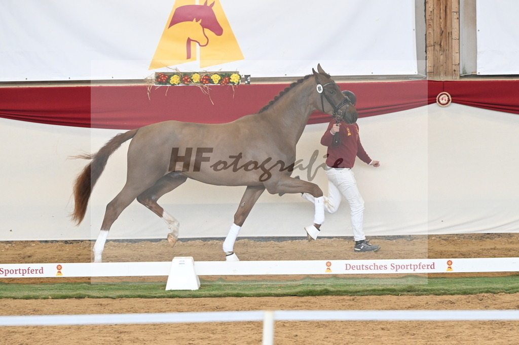 Kat.-Nr. 80 v. Va Bene_Klakow_3261249 | hf-fotografie - Realizzato con Pictrs.com