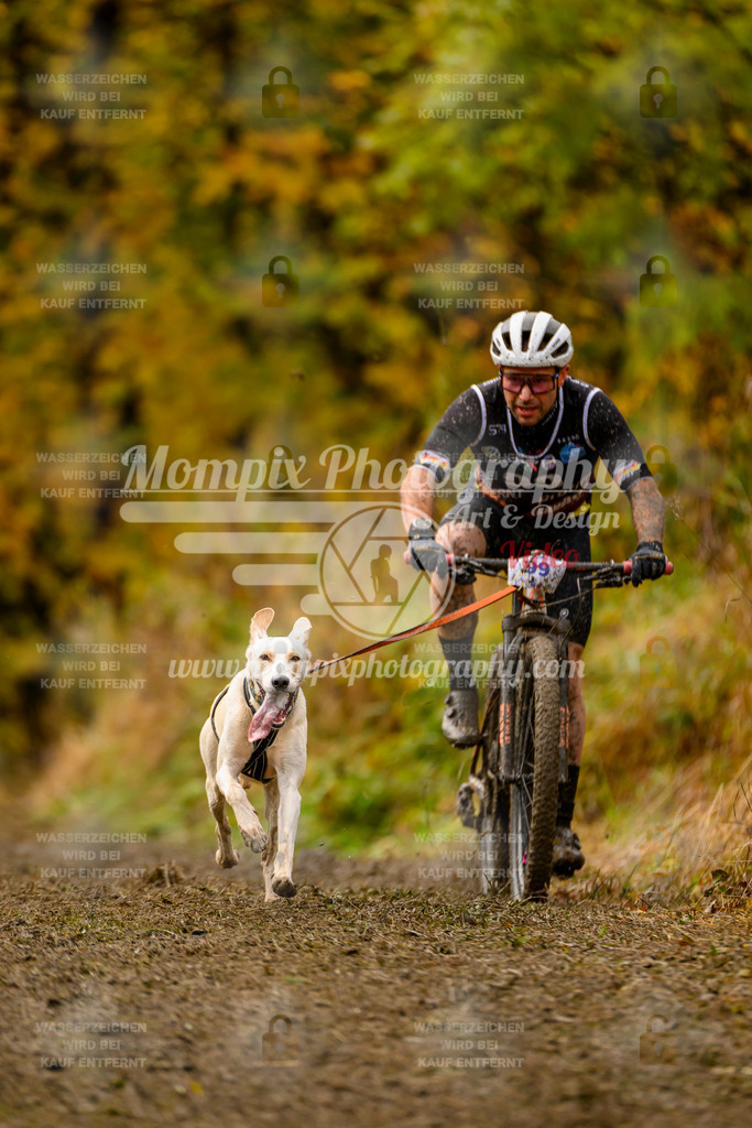 MompixPhotography_ICF_WC_2024_SA_Bike_-62 | PayLife