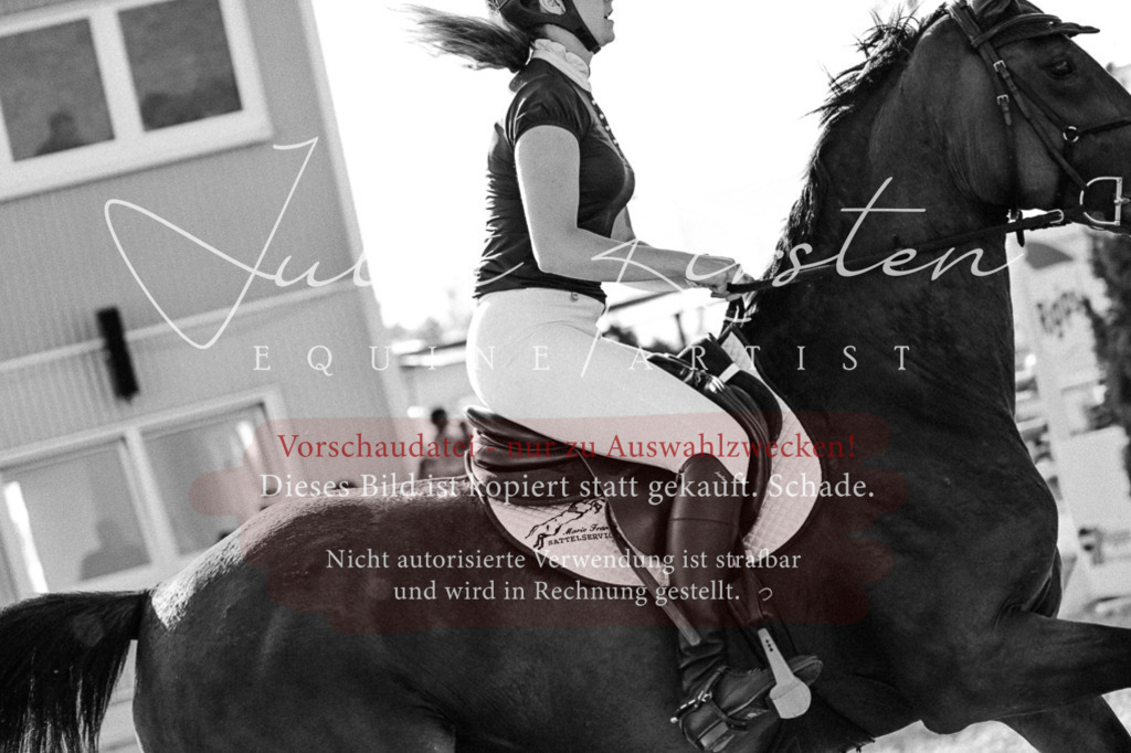 DSC_2915 | Pferde- und Turnierfotografie in Westsachsen. Pferdeportraits, Auftragszeichnungen und intuitive Kunst.