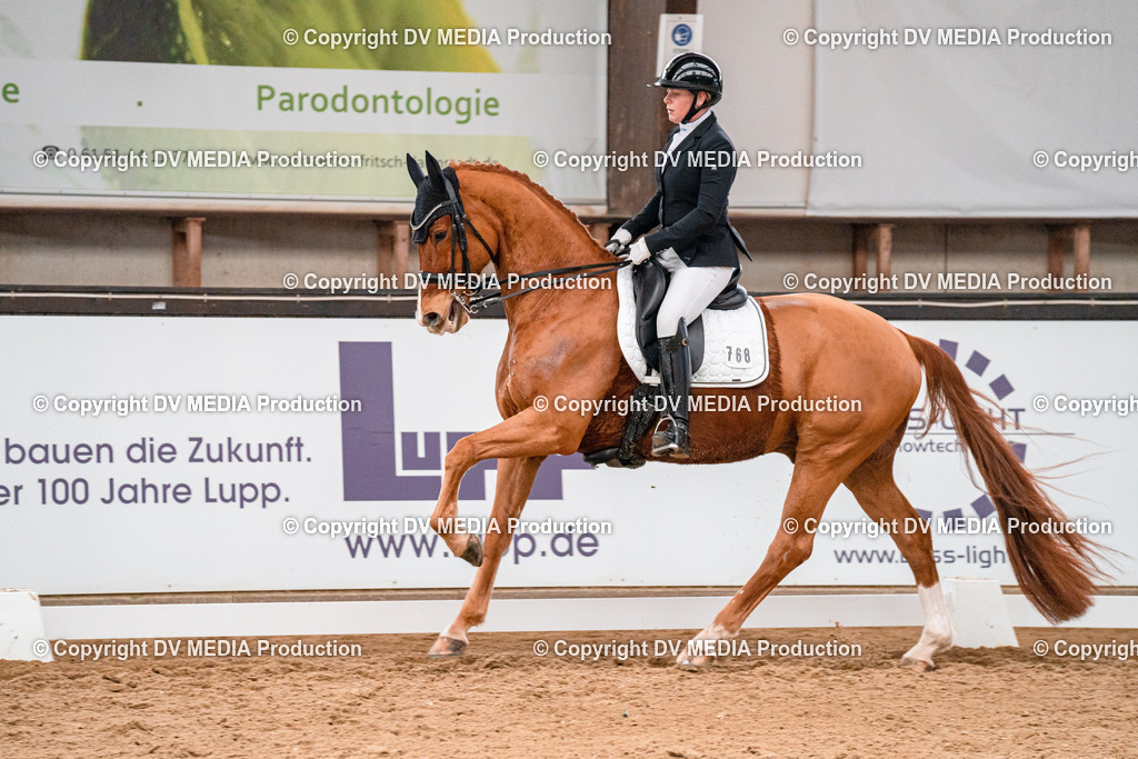 Kranichstein Tag 1-309 | dv-media-shop - Realisiert mit Pictrs.com