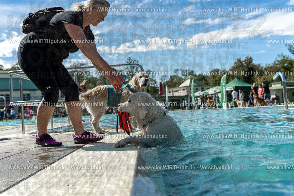 Hundeschwimmen_Volksbad_2026-allesWIRTHgut_Tierfotografie-2609061304-121411-7R500459 | Professionelle Tierfotografie in Mönchengladbach von Daniel Wirth (allesWIRTHgut). Liebevolle & natürliche Bilder von Hunden & Katzen für unvergessliche Erinnerungen.