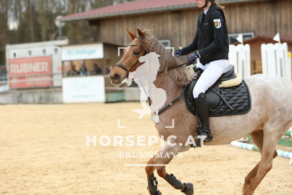 DL2Q2611 | Willkommen bei Brunnmayr - Design & Fotografie – Ihrem Spezialisten für Reitturniere und Pferdeveranstaltungen in Oberösterreich, Salzburg und Bayern! Seit über 17 Jahren sind wir leidenschaftlich dabei.