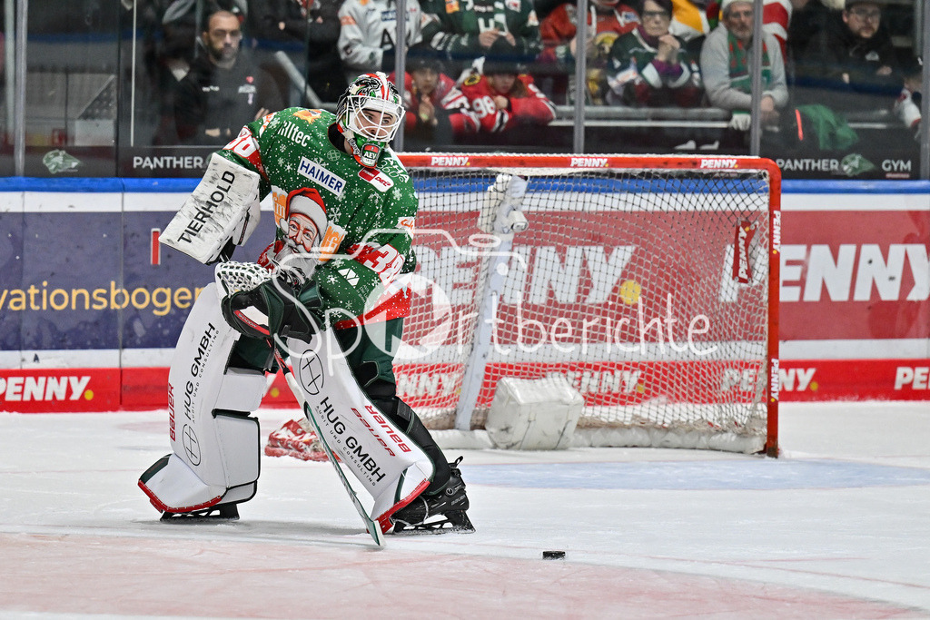 Augsburger Panther - Nürnberg Ice Tigers | Am Puck Strauss MANN (Augsburger Panther #38) / Freisteller / Einzelfoto / DEL: Augsburger Panther - Nuernberg Ice Tigers, Curt Frenzel Stadion am 06.12.2024