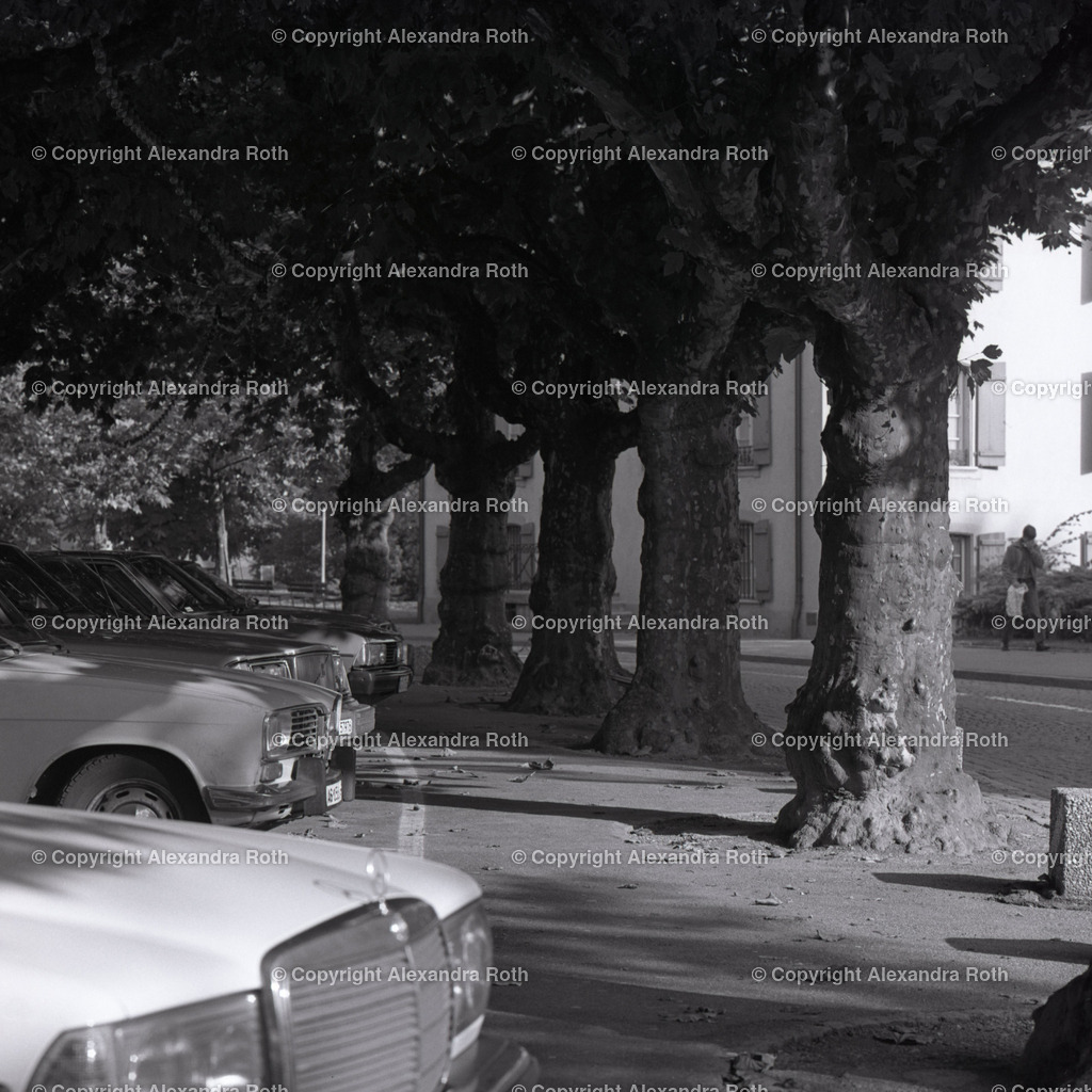 Aarau_0615 | onlineshop - Realisiert mit Pictrs.com