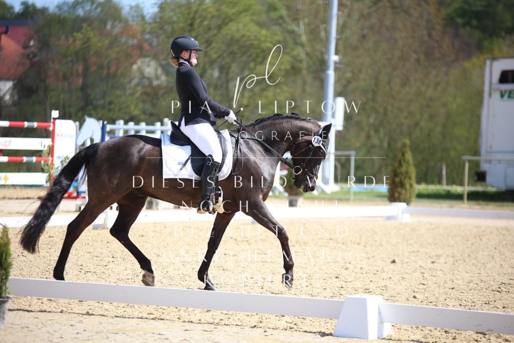 IMGT7238 | pl-fotografie