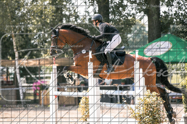 _W6A1000 | ronjaprokoschfotografie - Realisiert mit Pictrs.com