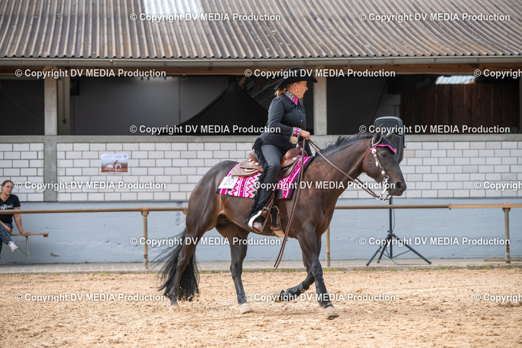 EWP_5656 | dv-media-shop - Realisiert mit Pictrs.com