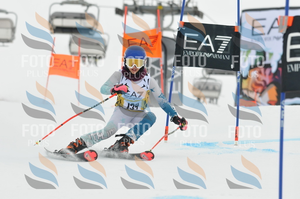 DSC_8319 | holidayphoto