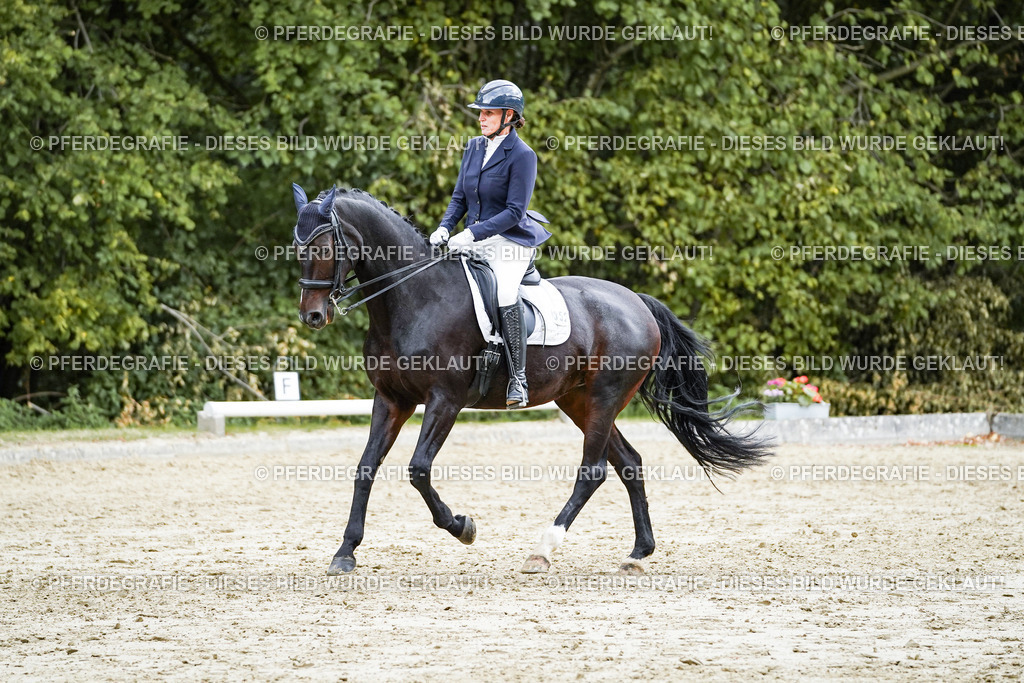 DSC06143 | Pferdegrafie