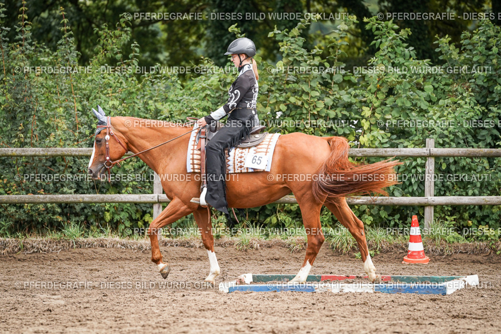 DSC04180 | Pferdegrafie