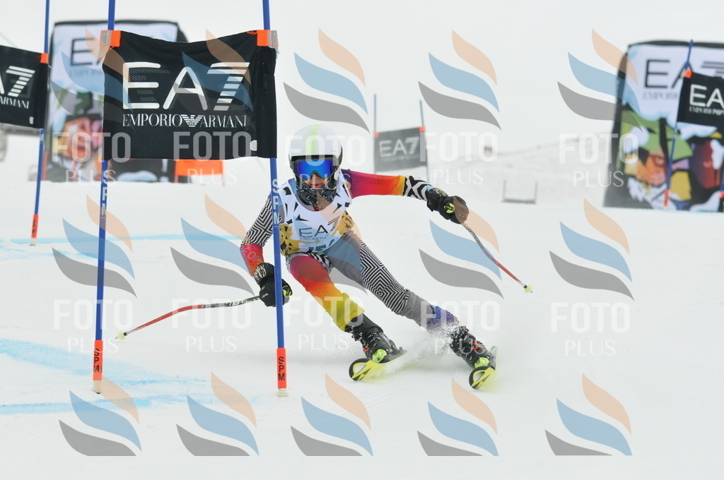 DSC_8487 | holidayphoto