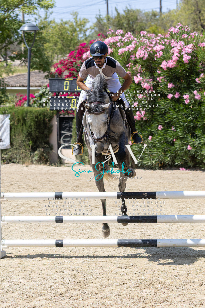 IMG_0406 | s-jay-photography - Realisiert mit Pictrs.com