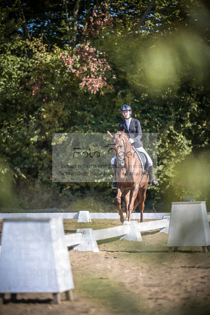 DOS_2209 | Entdecke hochwertige Reitturnierfotos von Foto Oger. Professionell, emotional und authentisch – jetzt Lieblingsmomente im Shop bestellen.Deutschlandweite Turnierfotografie. - Realisiert mit Pictrs.com