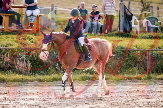 2026_10_03_Siefer-Hof_144530_Z81_21114188 | Professionelle Reitsport-, Turnier- und Eventfotografie von Robert Broda. Galerien mit ausgewählten und bearbeiteten Bildern direkt online ansehen und bestellen.