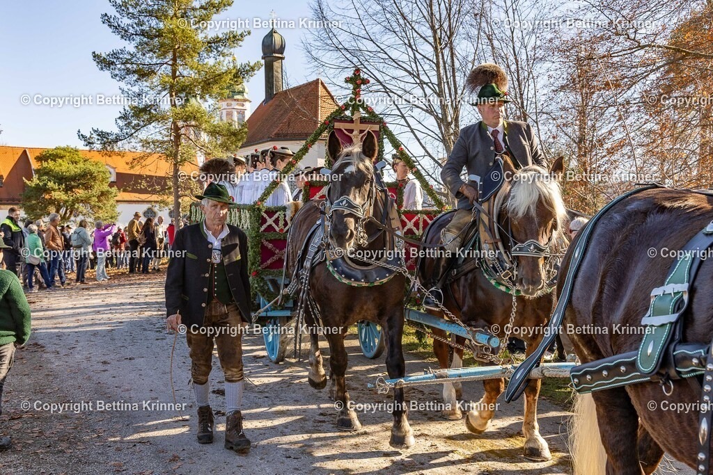 LBT25-1191 | foto-bettina-krinner - Realisiert mit Pictrs.com