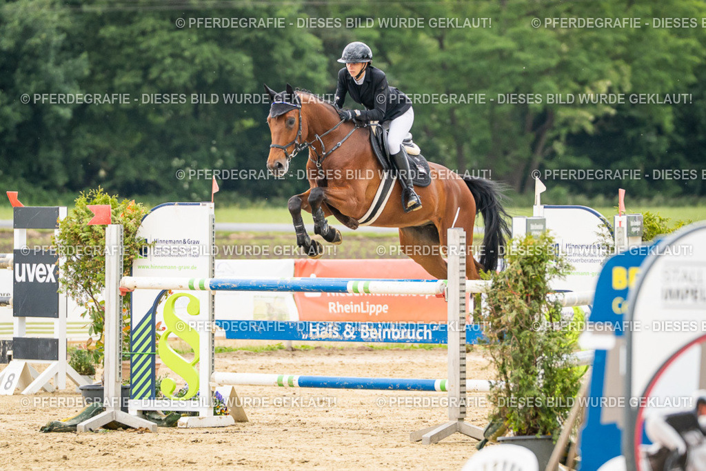 DSC06228 | Pferdegrafie