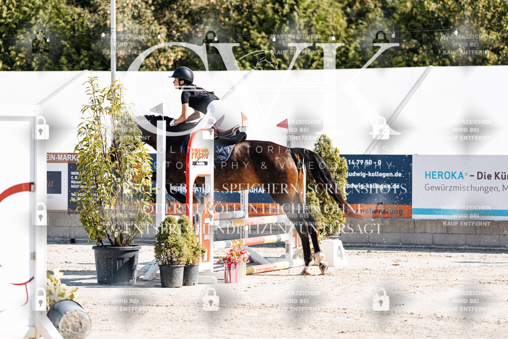 CK904984 | Turnierfotografie Pferdefotografie Trier Rheinland-Pfalz Pferdesport Reitsport Tierfotografie Sportfotografie Pferdevideo Pferdevideografie Equestrianvideography equestrianphotography  - Realisiert mit Pictrs.com