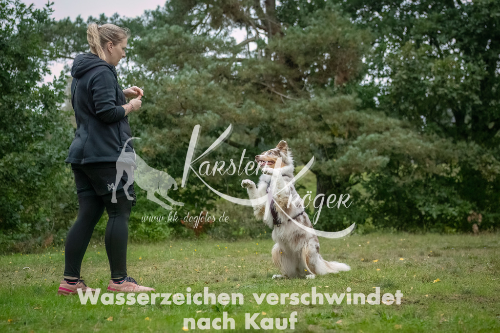 0925_ZZ90338-Bearbeitet | kk-dogfotos