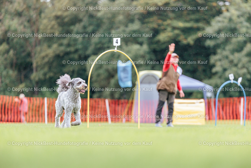 BSP Hoopers-H2-2026-Nickbest-Hundefotografie-TuS Komet Arsten e.V.-4446 | Dein Hund! Dein Moment! Deine Erinnerungen! Hundefotografie in Bremen Blumenthal. Ich fange die besonderen Momente deines Vierbeiners ein – ob Indoor mit Blitzanlage oder in der freien Natur. Sicher dir dein Moment und dein Termin für eure Erinnerungen.