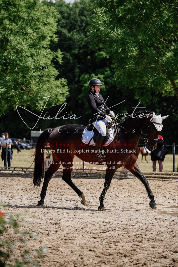 DSC_1102 | Pferde- und Turnierfotografie in Westsachsen. Pferdeportraits, Auftragszeichnungen und intuitive Kunst.